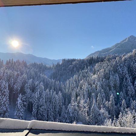 Wohnung Staufenblick Und Wohnung Firstblick Дорнбірн Екстер'єр фото